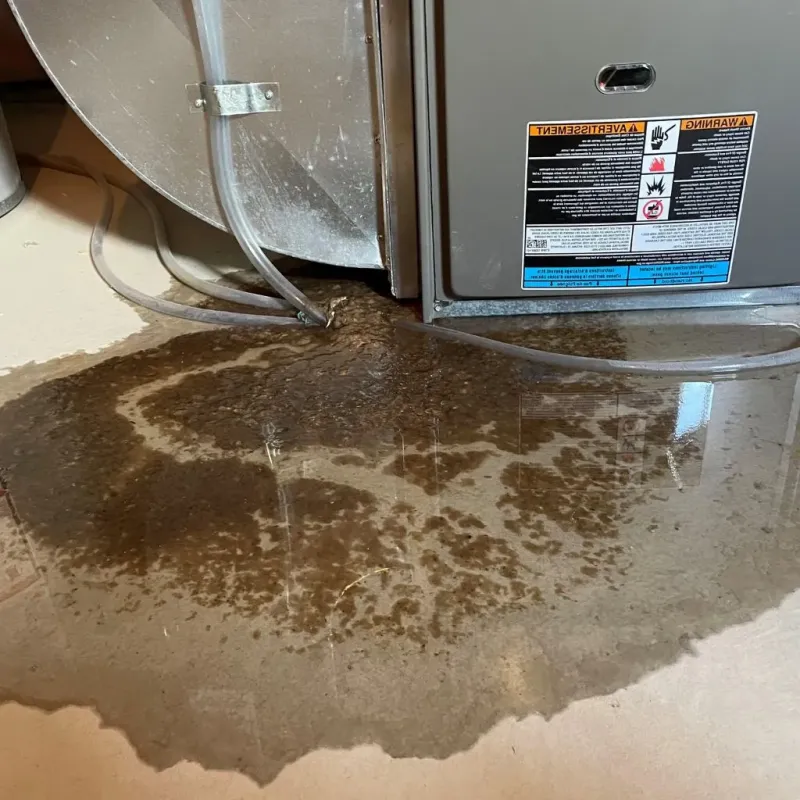 Pipe Burst and Leak Restoration in Winthrop Harbor, IL
